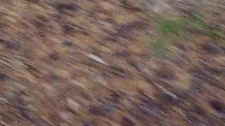 Секс в лесу с Геннадием – дикий трах на природе смотреть онлайн