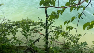 Спалил подруг в лесу — они кончают от страсти