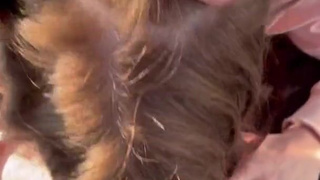 Реальное порно видео с колесом обозрения – экстремальный оргазм