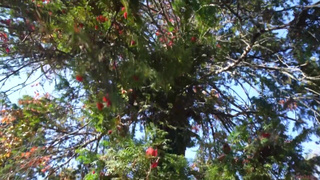 Страстный секс видео с разрядкой для нее