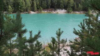 Секс видео с незнакомкой у дерева - страстный лесной трах