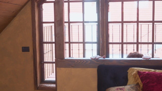 Страстное порно видео с красивой девушкой