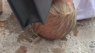 Горячее секс видео с публичным унижением