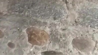 Горячее секс видео с публичным унижением