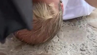 Горячее секс видео с публичным унижением