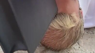 Горячее секс видео с публичным унижением