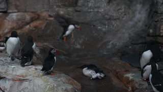 Секс с азиаткой: неожиданный финал и мокрая киска