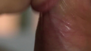 Ближе некуда — страстный минет и быстрая разрядка