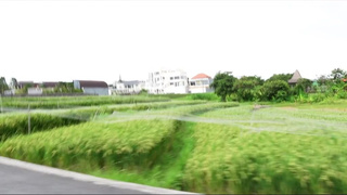 Азиатка сосет и глотает сперму