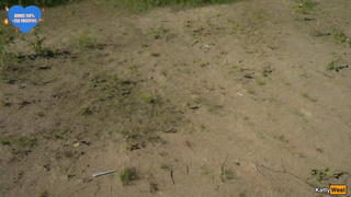 Секс вчетвером с женой и любовником – горячее групповое порно