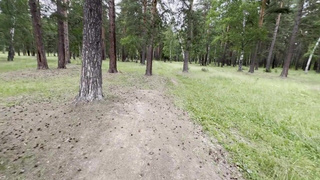 Смотреть онлайн лесной трах