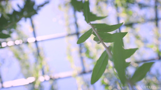 Danica Jewels Mango A - Горячее порно видео с красивой девушкой